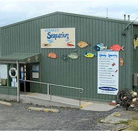 Stanley Seaquarium - Accommodation Mermaid Beach