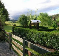 Wychwood Garden  Nursery - Accommodation Mermaid Beach