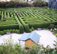 Westbury Maze and Tea Room - Accommodation Mermaid Beach