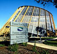 Forest EcoCentre - Accommodation Mermaid Beach