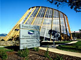 Forest EcoCentre - Accommodation Mermaid Beach 0