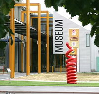 Queen Victoria Museum and Art Gallery - Accommodation Mermaid Beach