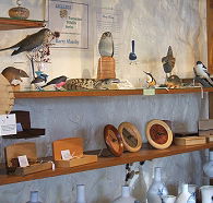 Touchwood Craft Gallery Gifts and Cafe - Accommodation Mermaid Beach