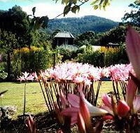 Blueberry Cottage Open Gardens - Accommodation Mermaid Beach