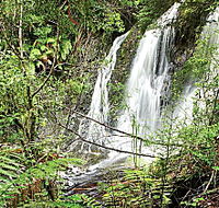 Hogarth Falls - Accommodation Mermaid Beach
