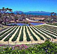 Kate's Berry Farm - Accommodation Mermaid Beach