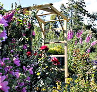 Thelma Retreat Garden and Teahouse - Accommodation Mermaid Beach