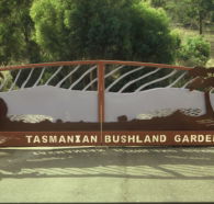 Tasmanian Bushland Garden - Accommodation Mermaid Beach