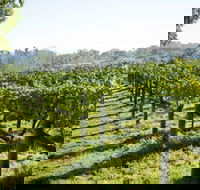 Surveyor's Hill Vineyards - Accommodation Mermaid Beach