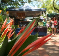 Nightcliff Markets - Accommodation Mermaid Beach