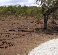 Wurrwurrwuy Garanhan Macassan Beach Interpretive Walk - Accommodation Mermaid Beach