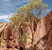 Ochre Pits - Accommodation Mermaid Beach