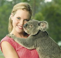 Paradise Country Aussie Farm Tour - Accommodation Mermaid Beach