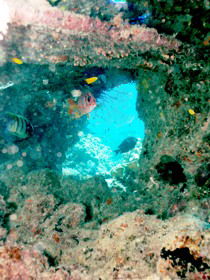  Accommodation Mermaid Beach
