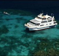 Fish Bowl Dive Site - Accommodation Mermaid Beach