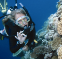 Moore Reef Dive Site - Accommodation Mermaid Beach