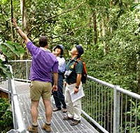 Daintree Discovery Centre - Accommodation Mermaid Beach
