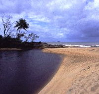 Russell River National Park - Accommodation Mermaid Beach
