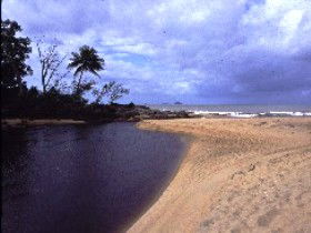Russell River National Park - Accommodation Mermaid Beach 0