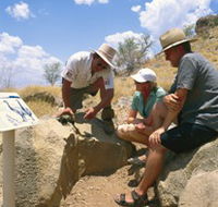 Riversleigh Fossil Fields - Accommodation Mermaid Beach