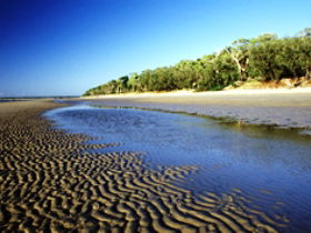 Burrum Coast National Park - Accommodation Mermaid Beach 0