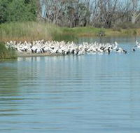 Lake Ross - Accommodation Mermaid Beach