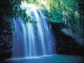 Zillie Falls - Accommodation Mermaid Beach 0
