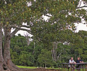 Ravensbourne National Park - Accommodation Mermaid Beach 0