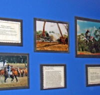Town Hall Photographic Display - Accommodation Mermaid Beach