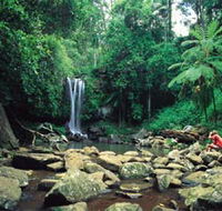 Tamborine National Park - Accommodation Mermaid Beach