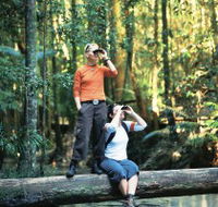 Birdwatching on the Fraser Coast - Accommodation Mermaid Beach
