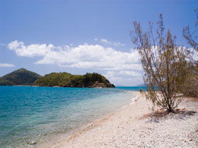 Paddle Bay Track And Campsite - Accommodation Mermaid Beach 0
