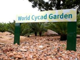 Anderson Park Botanic Gardens - Accommodation Mermaid Beach 0