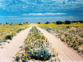 Birdsville Track - Accommodation Mermaid Beach 0