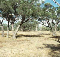 Forest Den National Park - Accommodation Mermaid Beach