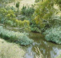 Yarrambat Park - Accommodation Mermaid Beach