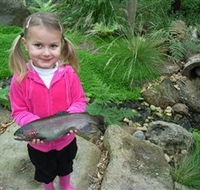 Wild Food Farm  Cafe - Accommodation Mermaid Beach
