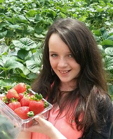 Yarra Valley Gateway Estate - Accommodation Mermaid Beach 0