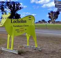 Locheilan Farmhouse Cheese - Accommodation Mermaid Beach