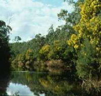 Warrandyte State Park - Accommodation Mermaid Beach