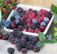 Bright Berry Farms - Accommodation Mermaid Beach