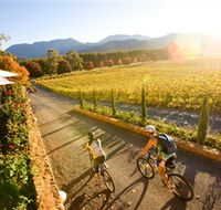Boyntons Feathertop Winery - Accommodation Mermaid Beach