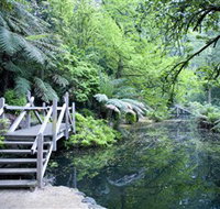 Alfred Nicholas Gardens - Accommodation Mermaid Beach