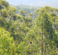 Bunyip State Park - Accommodation Mermaid Beach
