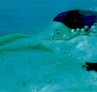 Muse - Accommodation Mermaid Beach