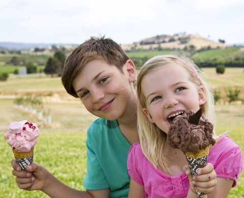 Yarra Valley Chocolaterie & Ice Creamery - Accommodation Mermaid Beach 6