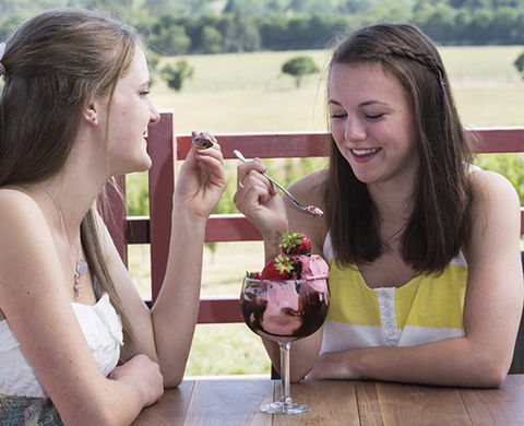 Yarra Valley Chocolaterie & Ice Creamery - Accommodation Mermaid Beach 8