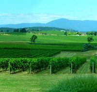 Acacia Ridge Vineyard - Accommodation Mermaid Beach