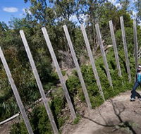 Herring Island Environmental Sculpture Park - Accommodation Mermaid Beach