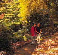 George Tindale Memorial Gardens - Accommodation Mermaid Beach